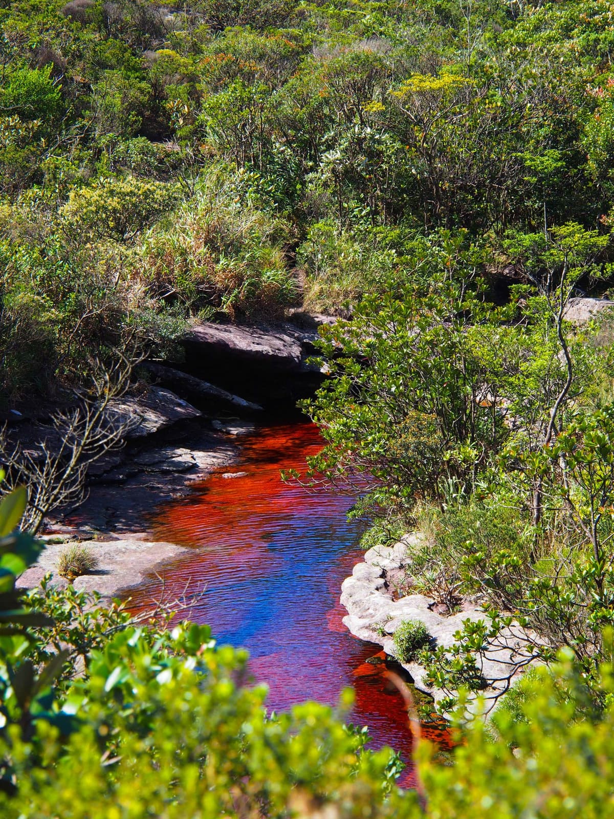 Chapada Diamantina, Brésil, 2024