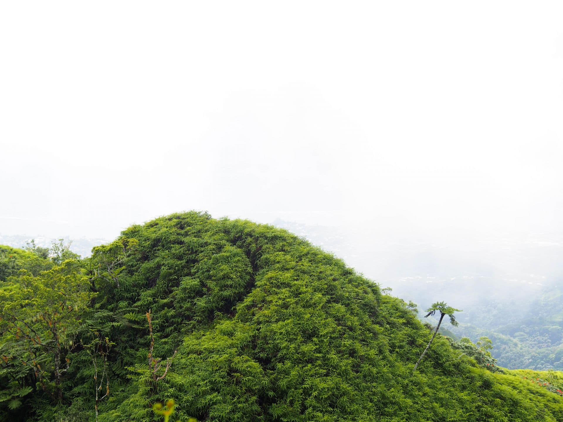 Tahiti, Polynésie française, 2025