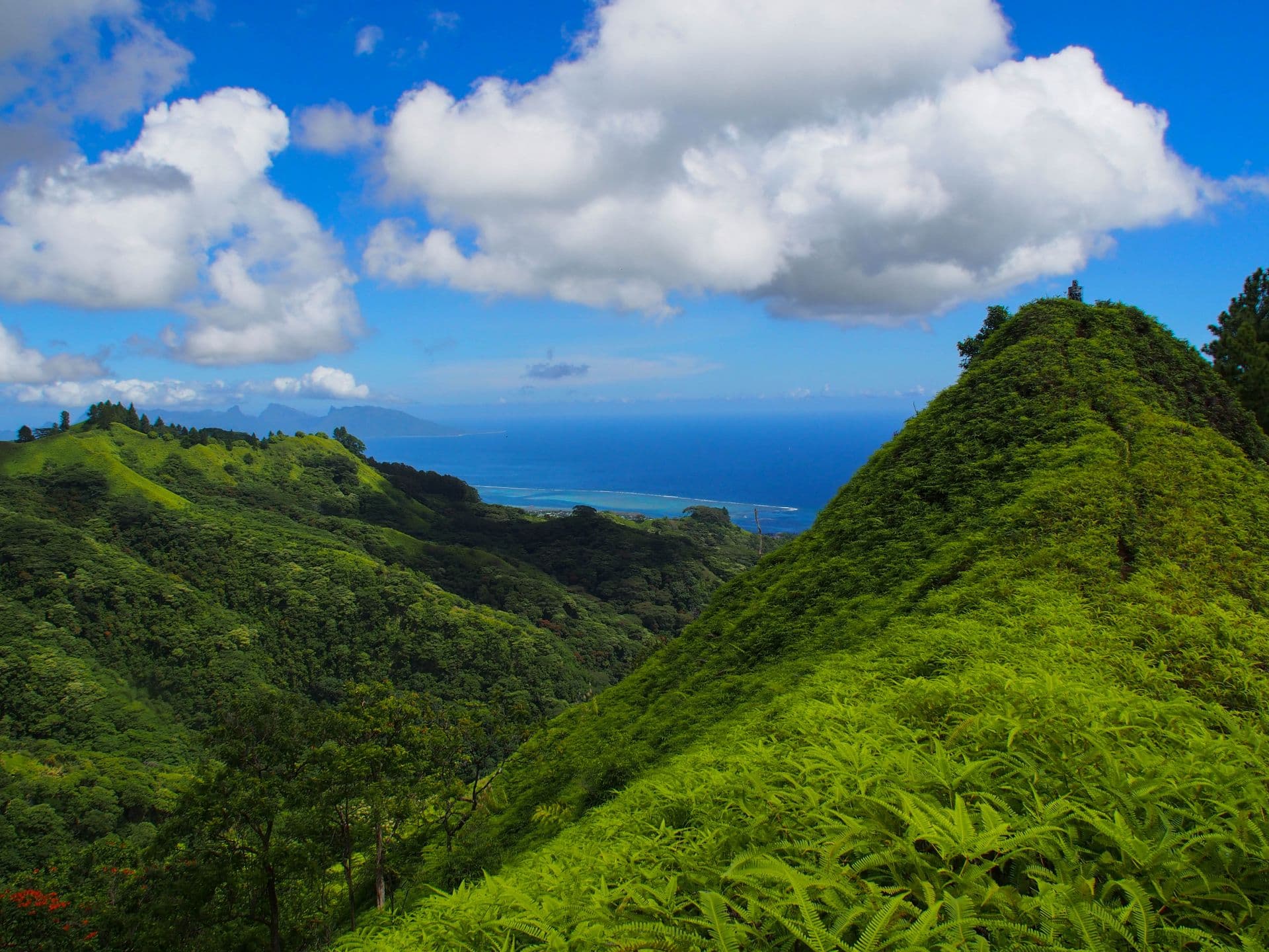 Tahiti, Polynésie française, 2025